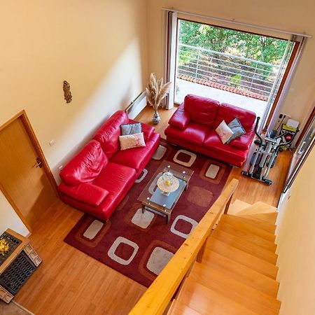 Apartments Maris Novigrad  Εξωτερικό φωτογραφία