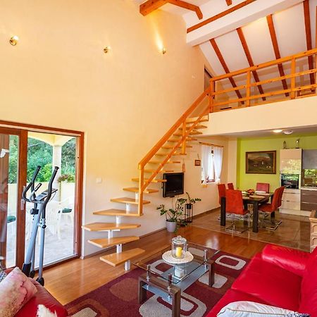 Apartments Maris Novigrad  Εξωτερικό φωτογραφία