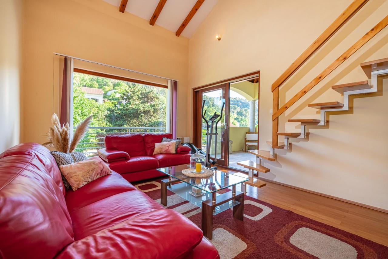 Apartments Maris Novigrad  Εξωτερικό φωτογραφία