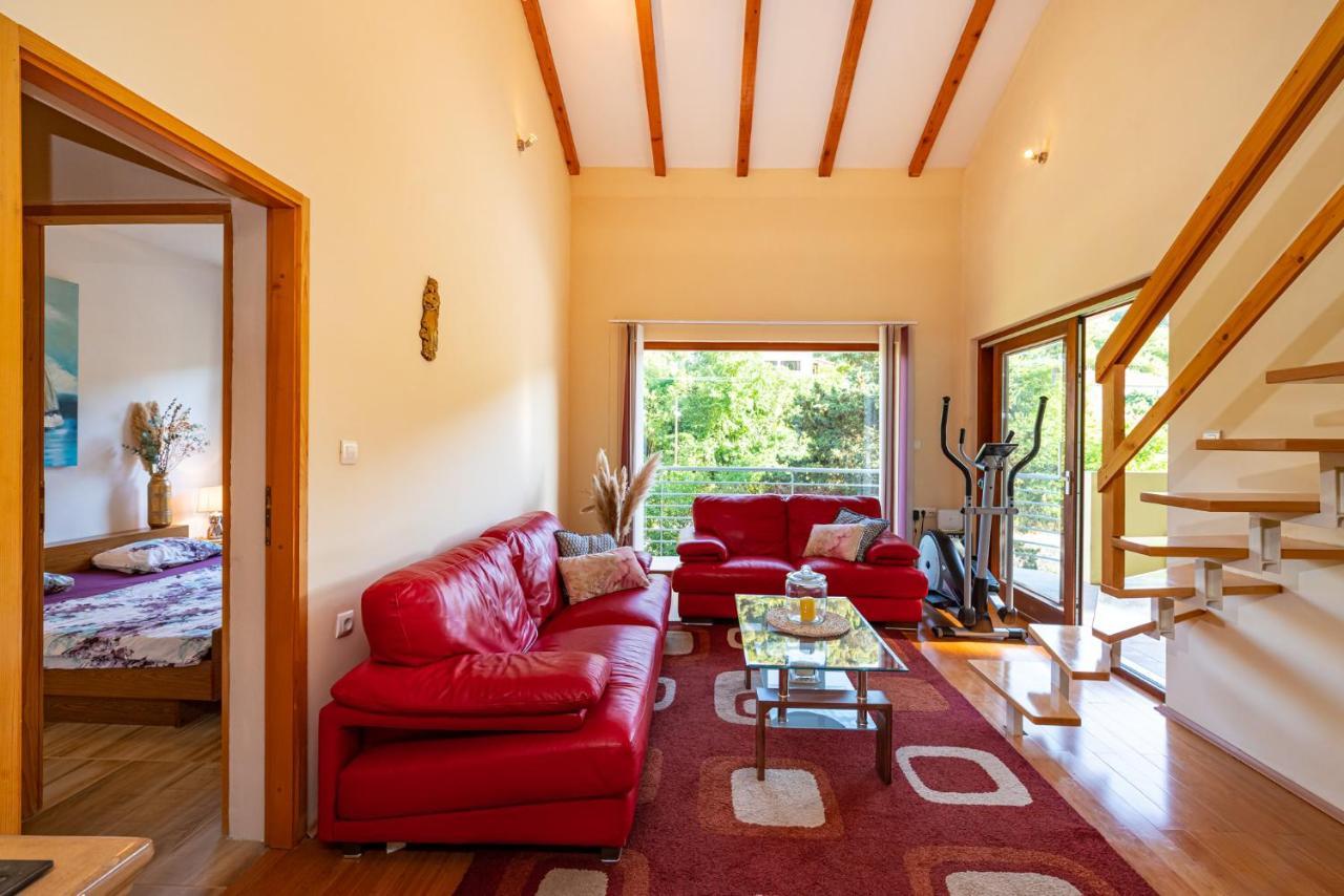Apartments Maris Novigrad  Εξωτερικό φωτογραφία