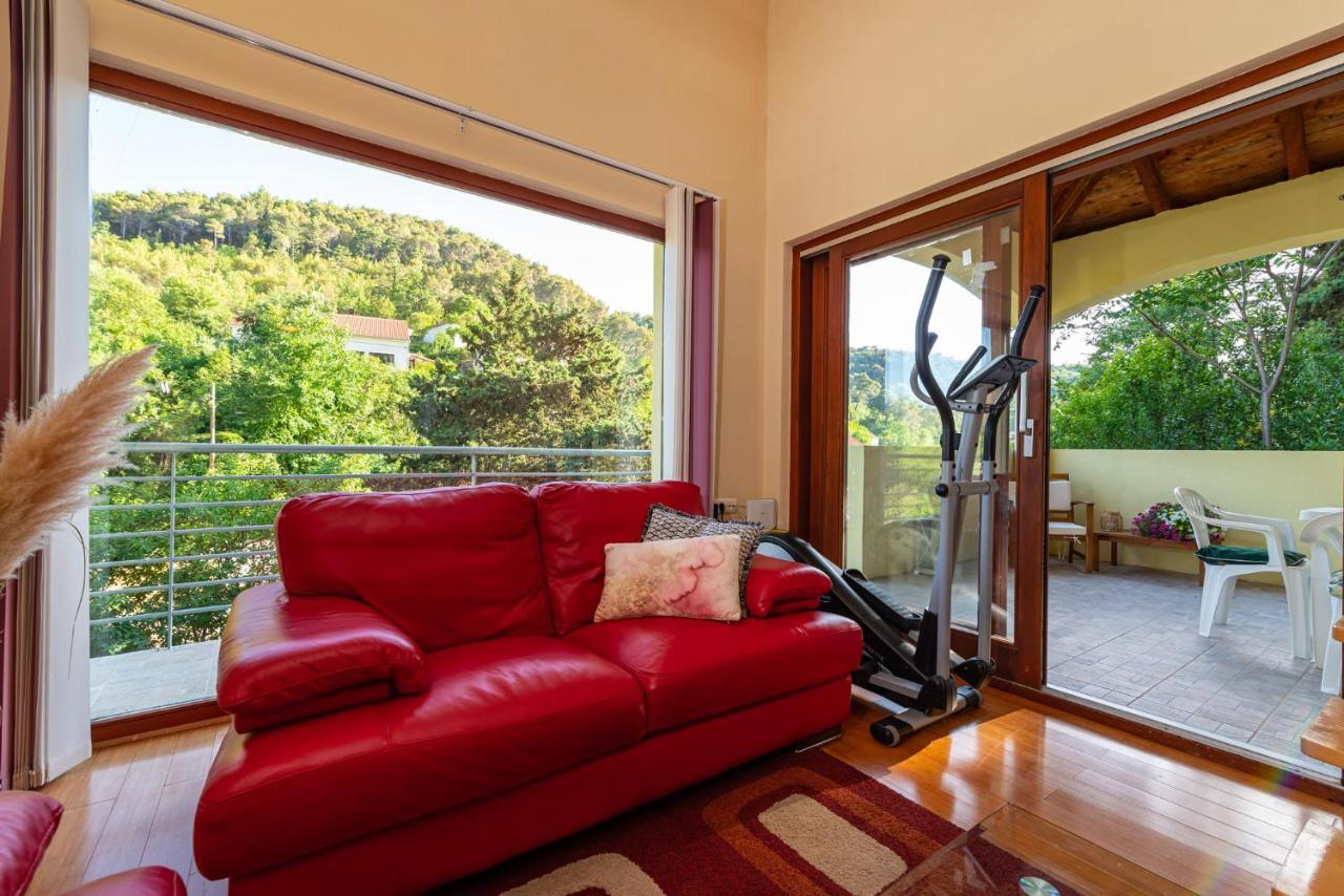 Apartments Maris Novigrad  Εξωτερικό φωτογραφία