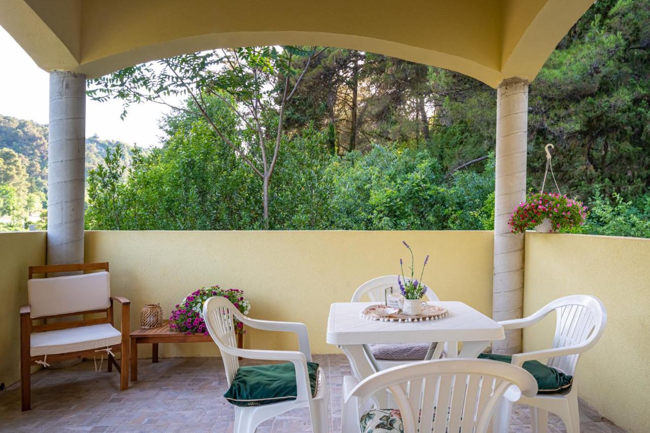 Apartments Maris Novigrad  Εξωτερικό φωτογραφία