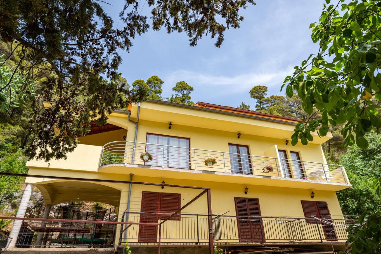 Apartments Maris Novigrad  Εξωτερικό φωτογραφία