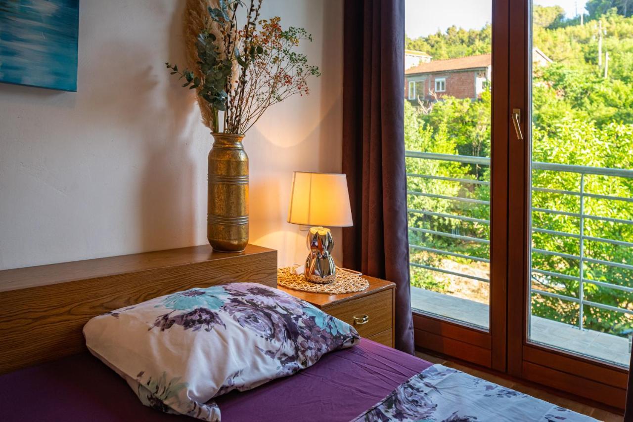 Apartments Maris Novigrad  Εξωτερικό φωτογραφία