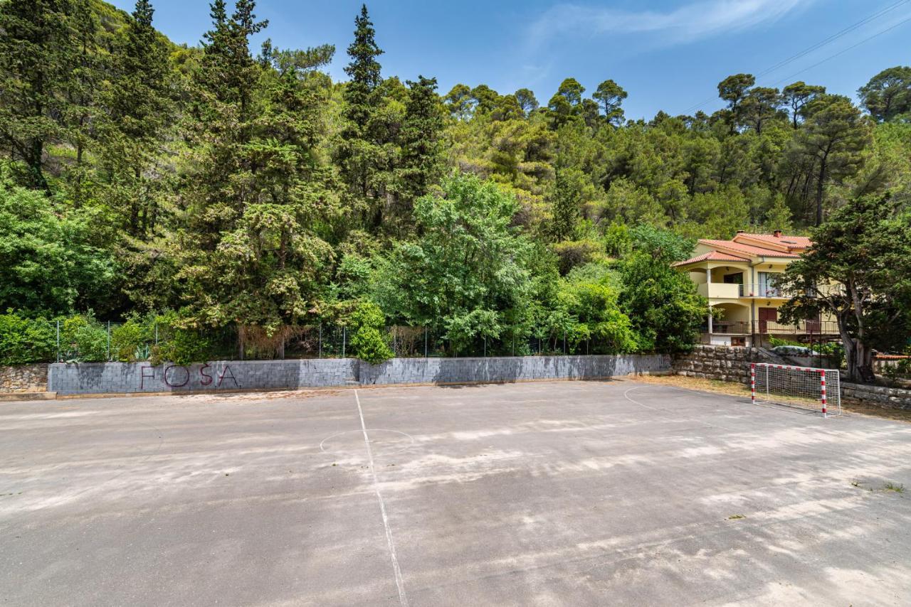 Apartments Maris Novigrad  Εξωτερικό φωτογραφία