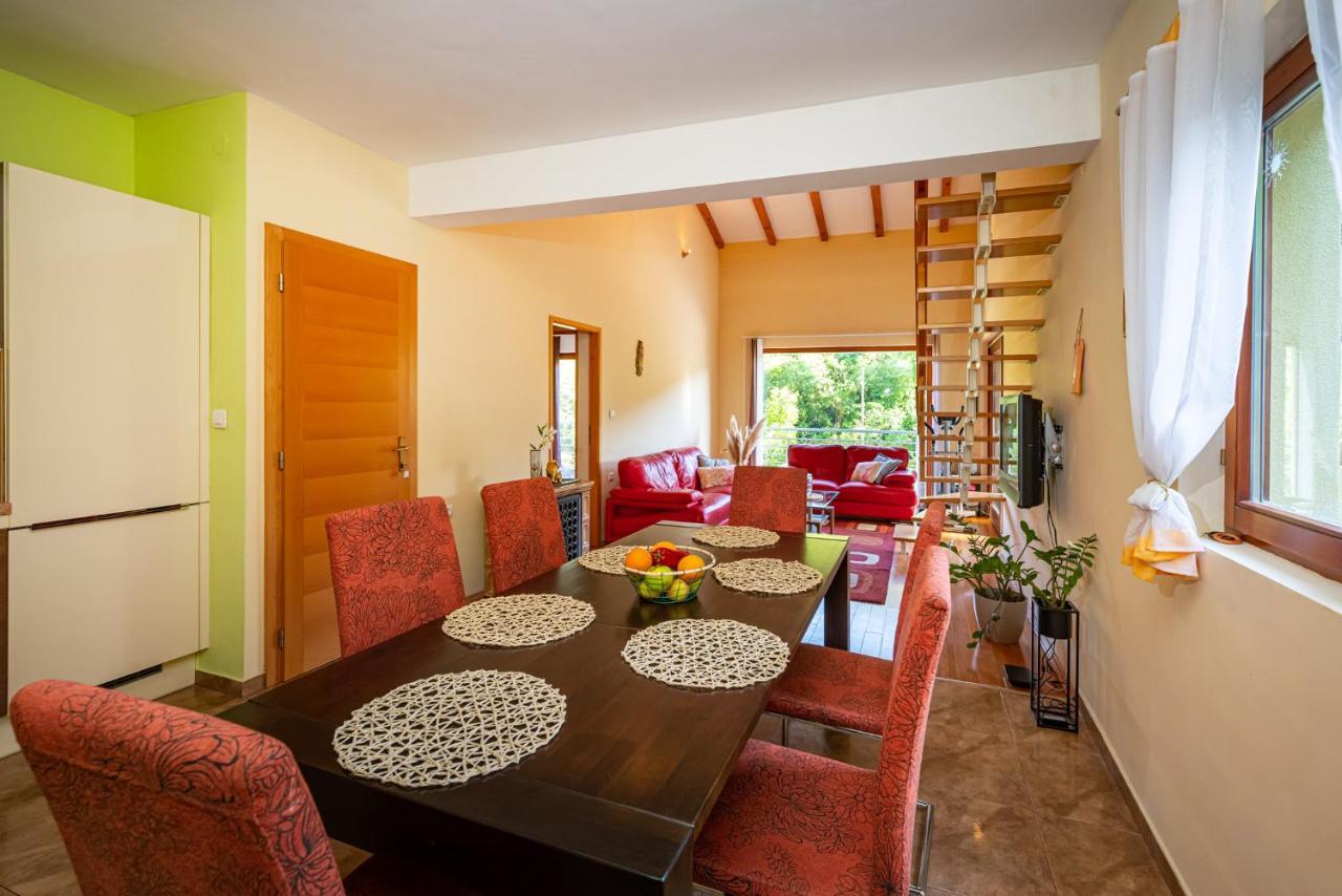Apartments Maris Novigrad  Εξωτερικό φωτογραφία