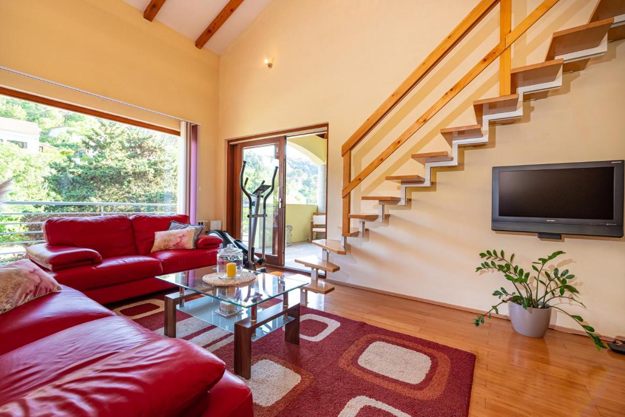 Apartments Maris Novigrad  Εξωτερικό φωτογραφία