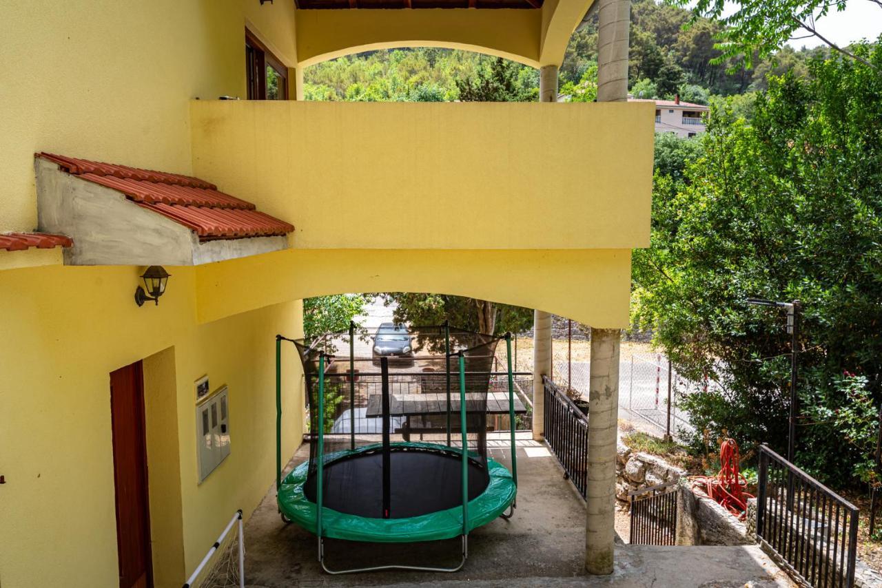 Apartments Maris Novigrad  Εξωτερικό φωτογραφία